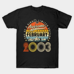 Awesome Since February 2003 Vintage 20th Birthday T-Shirt